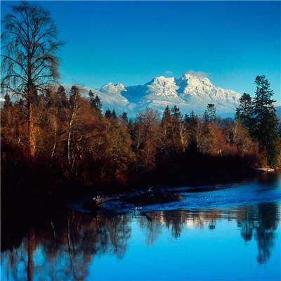 帝一娱乐app下载