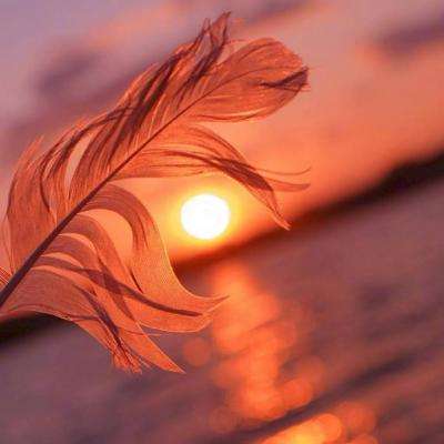 完美娱乐官网下载