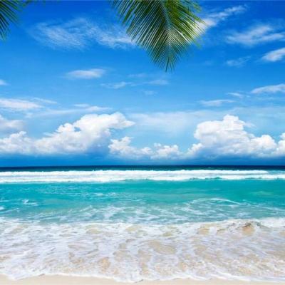 BOB·体育手机截图