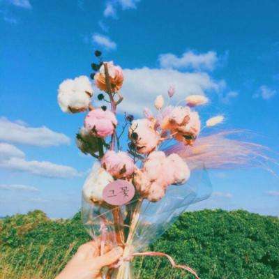 万博·ManBetX手机app下载