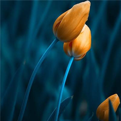 亚博app(中国)官方网站手机app下载